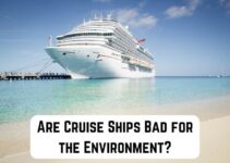Are Cruise Ships Bad for the Environment? (Worst Polluters)