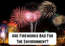 Environmental Impact of Fireworks (And Alternatives)