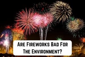 are-fireworks-bad-for-environment