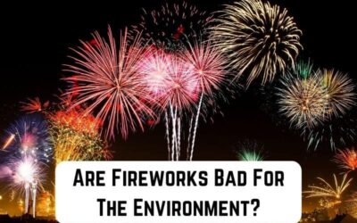 Environmental Impact of Fireworks (And Alternatives)