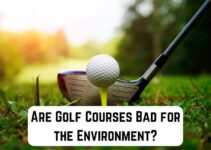 Are Golf Courses Bad for the Environment? (We Think So)