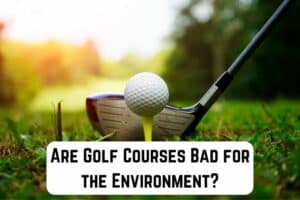 are-golf-courses-bad-for-environment