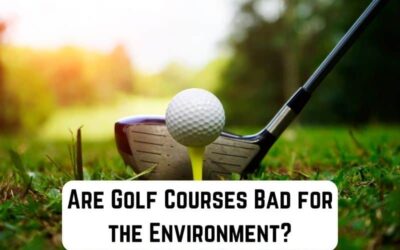 Are Golf Courses Bad for the Environment? (We Think So)