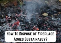 How To Dispose of Fireplace Ashes Sustainably?