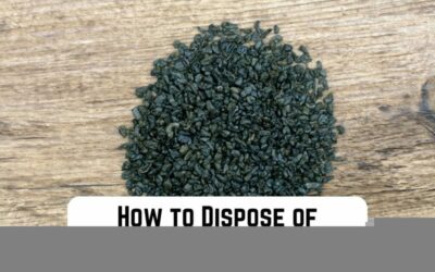 How to Dispose of Gunpowder Sustainably?