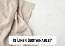 Is Linen Sustainable? (Read to Find Out)