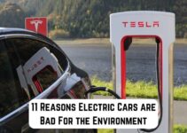 11 Reasons Why Electric Cars are Bad For the Environment