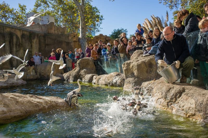 Are Zoos Good or Bad for the Environment? Conserve Energy Future