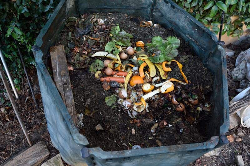 inside-composting-container
