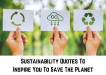 75 Inspiring Sustainability Quotes – Sayings About Saving The Planet