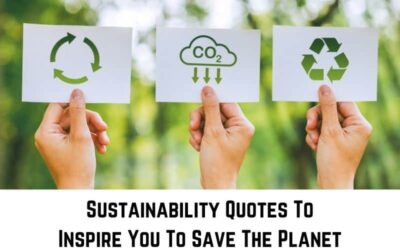 75 Inspiring Sustainability Quotes – Sayings About Saving The Planet