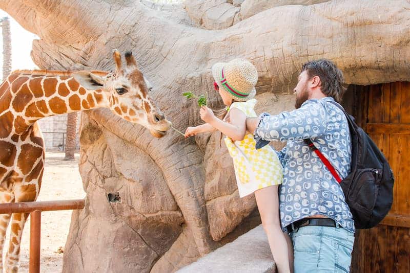 dad-daughter-feed-giraffe