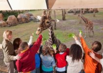 Are Zoos Really Ethical? Insights From The 2 Sides of The Debate!