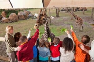 kids-field-trip-in-zoo