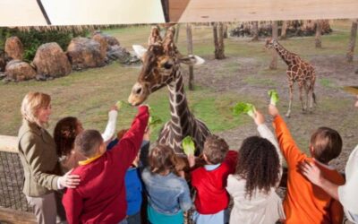 Are Zoos Really Ethical? Insights From The 2 Sides of The Debate!