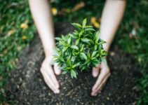 15+ Sustainable Spring Activities to Engage Yourself